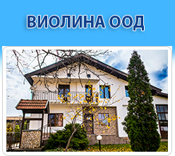 виолина оод видин