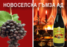Новоселска гъмза